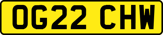 OG22CHW