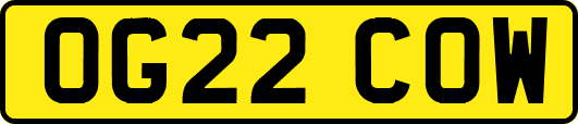 OG22COW
