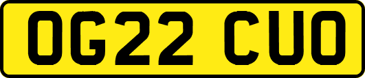 OG22CUO