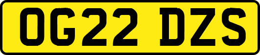 OG22DZS