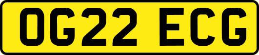 OG22ECG