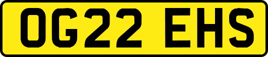 OG22EHS