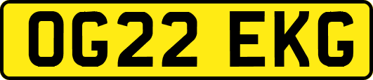 OG22EKG