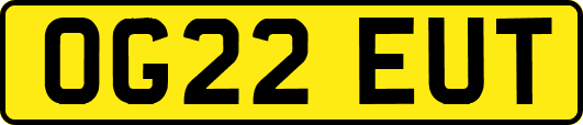 OG22EUT