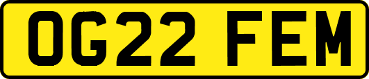 OG22FEM
