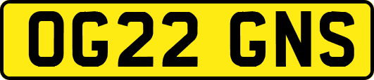 OG22GNS