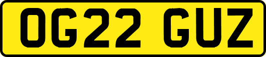 OG22GUZ