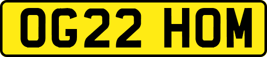 OG22HOM