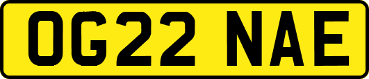 OG22NAE