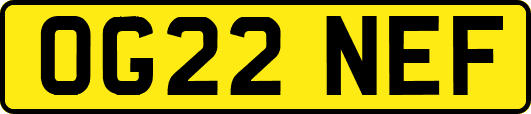 OG22NEF