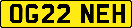 OG22NEH