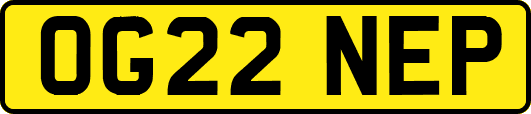 OG22NEP