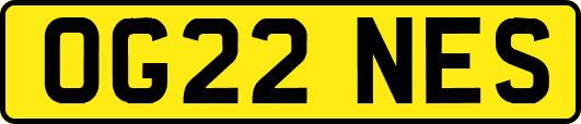 OG22NES