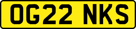 OG22NKS