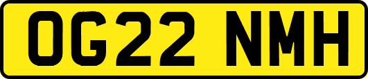 OG22NMH