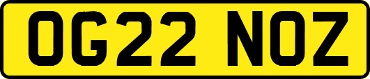 OG22NOZ