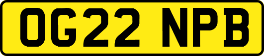 OG22NPB