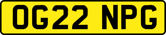 OG22NPG