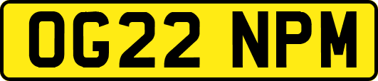 OG22NPM