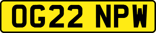 OG22NPW