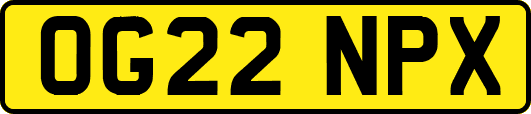 OG22NPX