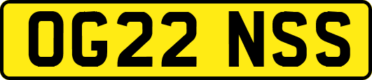 OG22NSS