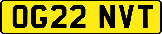 OG22NVT
