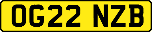 OG22NZB
