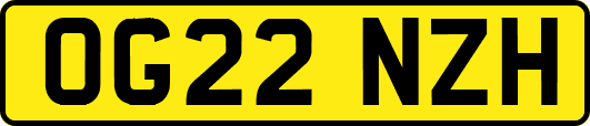 OG22NZH