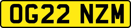OG22NZM