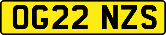 OG22NZS