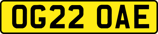 OG22OAE
