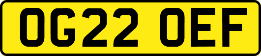 OG22OEF