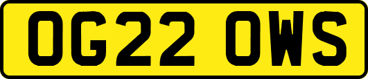 OG22OWS