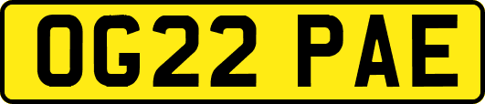 OG22PAE