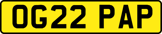 OG22PAP