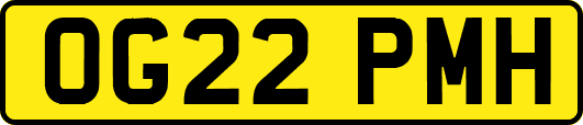 OG22PMH