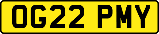 OG22PMY