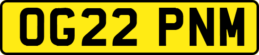 OG22PNM