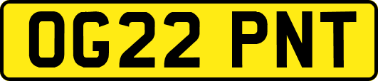 OG22PNT