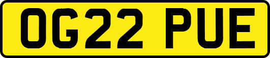 OG22PUE