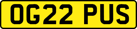 OG22PUS