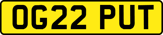 OG22PUT