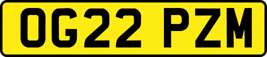 OG22PZM