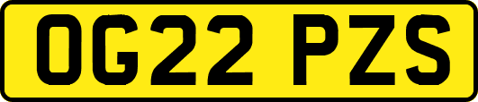 OG22PZS