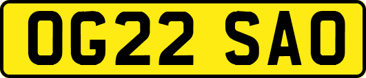 OG22SAO