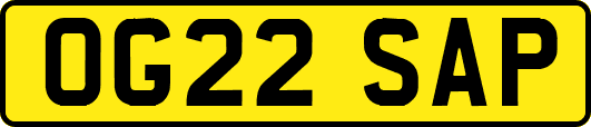 OG22SAP