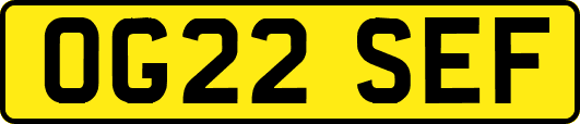 OG22SEF