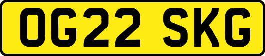 OG22SKG