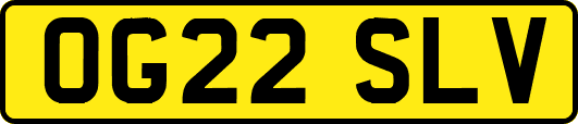 OG22SLV